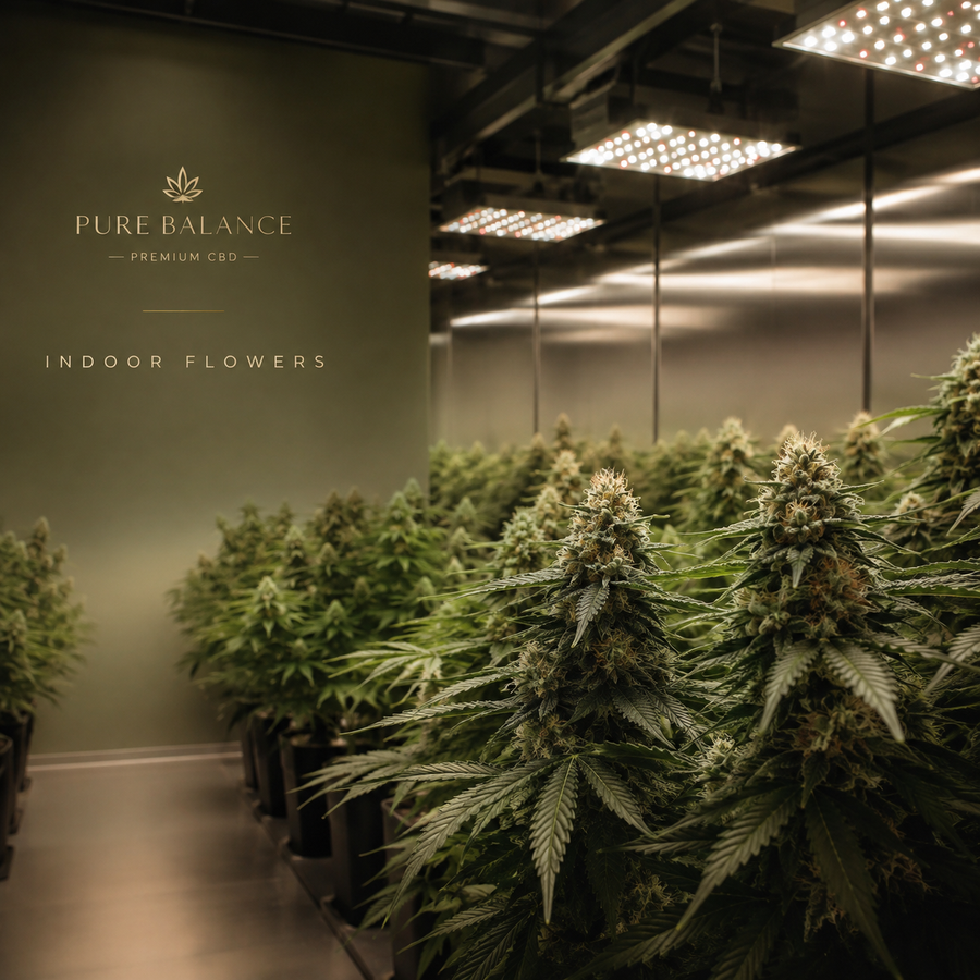 Fleurs Indoor