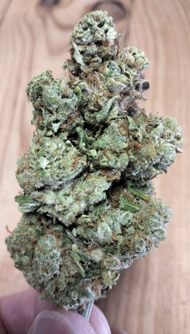 files/super_lemon_haze_h-d_mini.jpg
